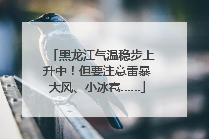 黑龙江气温稳步上升中！但要注意雷暴大风、小冰雹……