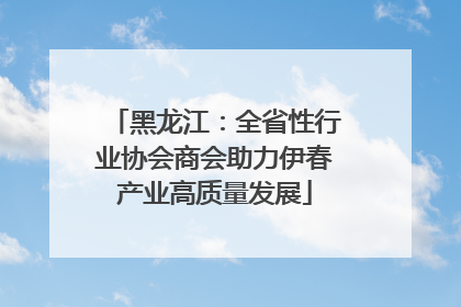 黑龙江：全省性行业协会商会助力伊春产业高质量发展