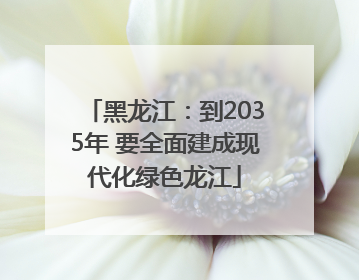 黑龙江：到2035年 要全面建成现代化绿色龙江