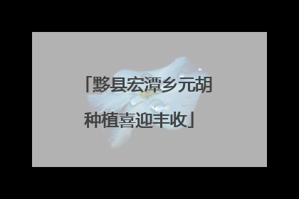 黟县宏潭乡元胡种植喜迎丰收