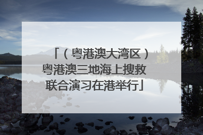 （粤港澳大湾区）粤港澳三地海上搜救联合演习在港举行