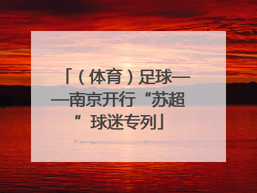 （体育）足球——南京开行“苏超”球迷专列