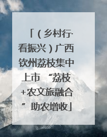 （乡村行·看振兴）广西钦州荔枝集中上市 “荔枝+农文旅融合”助农增收