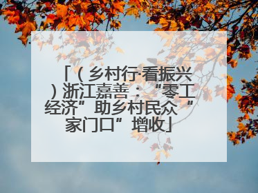 （乡村行·看振兴）浙江嘉善：“零工经济”助乡村民众“家门口”增收