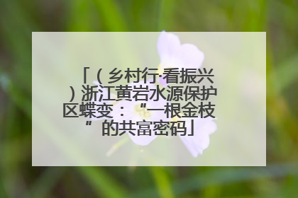 （乡村行·看振兴）浙江黄岩水源保护区蝶变：“一根金枝”的共富密码