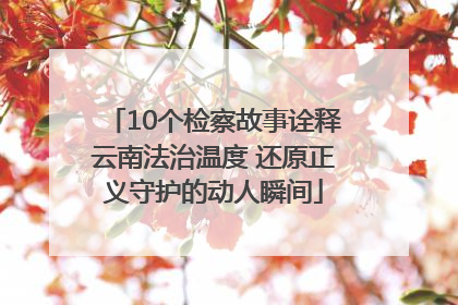 10个检察故事诠释云南法治温度 还原正义守护的动人瞬间