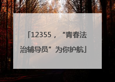12355，“青春法治辅导员”为你护航