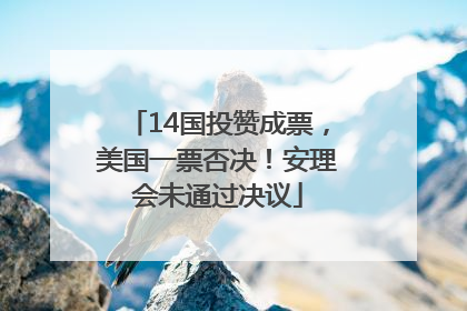 14国投赞成票，美国一票否决！安理会未通过决议