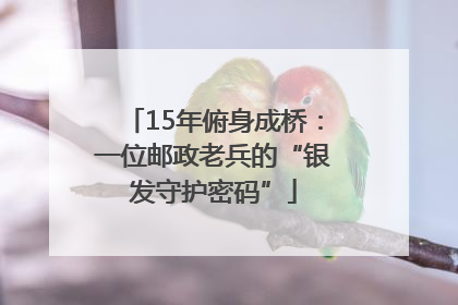 15年俯身成桥：一位邮政老兵的“银发守护密码”