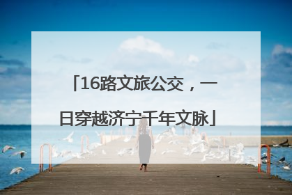 16路文旅公交，一日穿越济宁千年文脉