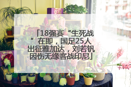 18强赛“生死战”在即，国足25人出征雅加达，刘若钒因伤无缘客战印尼