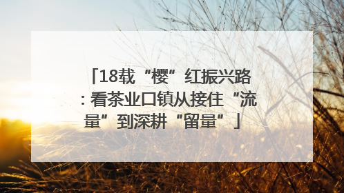 18载“樱”红振兴路：看茶业口镇从接住“流量”到深耕“留量”