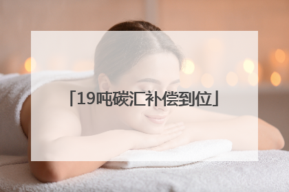 19吨碳汇补偿到位