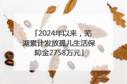 2024年以来，芜湖累计发放孤儿生活保障金2758万元