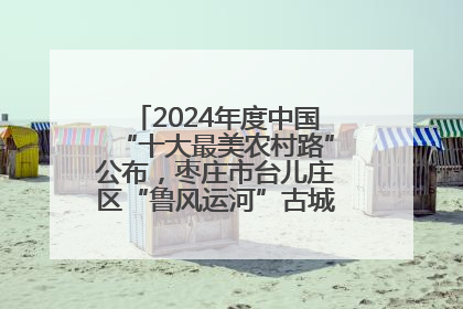 2024年度中国“十大最美农村路”公布，枣庄市台儿庄区“鲁风运河”古城文化廊道上榜！