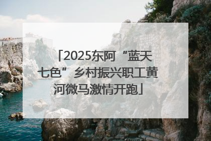 2025东阿“蓝天七色”乡村振兴职工黄河微马激情开跑