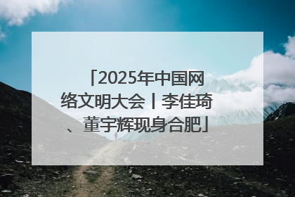 2025年中国网络文明大会丨李佳琦、董宇辉现身合肥