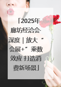 2025年廊坊经洽会·深度｜放大“会展+”乘数效应 打造消费新场景