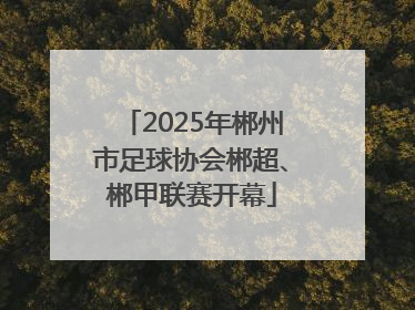 2025年郴州市足球协会郴超、郴甲联赛开幕