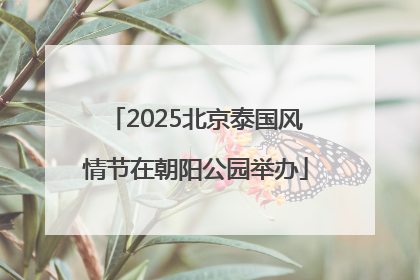 2025北京泰国风情节在朝阳公园举办