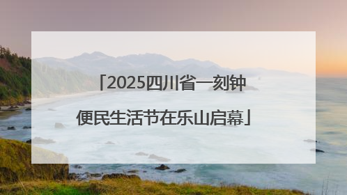 2025四川省一刻钟便民生活节在乐山启幕