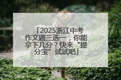 2025浙江中考作文题三选一，你能拿下几分？快来“提分宝”试试吧