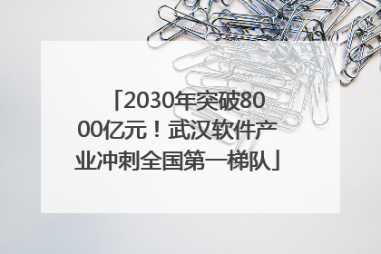 2030年突破8000亿元！武汉软件产业冲刺全国第一梯队