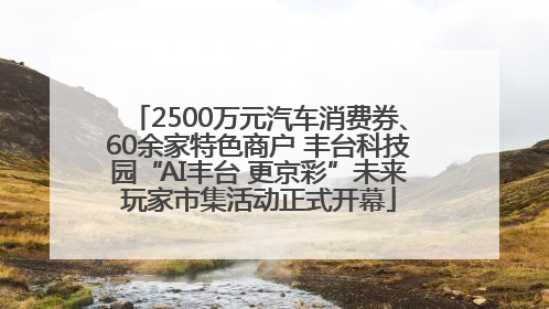 2500万元汽车消费券、60余家特色商户 丰台科技园“AI丰台 更京彩”未来玩家市集活动正式开幕