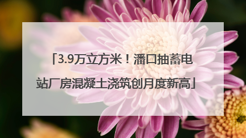 3.9万立方米！潘口抽蓄电站厂房混凝土浇筑创月度新高