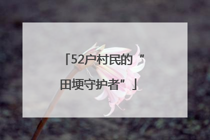 52户村民的“田埂守护者”