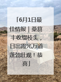 6月1日最佳情报｜桑葚丰收缀枝头，日出霞光万道蓬勃壮观！恭喜