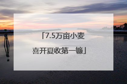 7.5万亩小麦喜开夏收第一镰