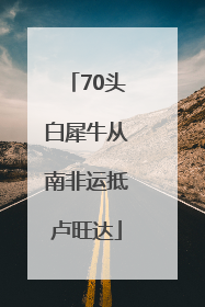 70头白犀牛从南非运抵卢旺达