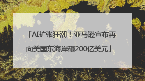 AI扩张狂潮！亚马逊宣布再向美国东海岸砸200亿美元