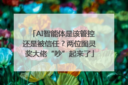 AI智能体是该管控还是被信任？两位图灵奖大佬“吵”起来了