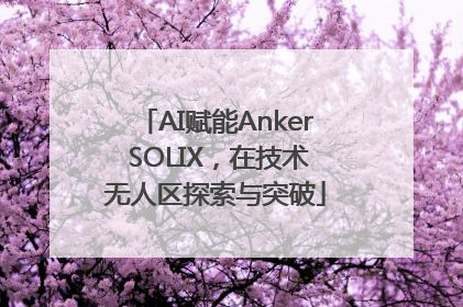 AI赋能Anker SOLIX，在技术无人区探索与突破