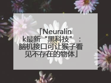 Neuralink最新“黑科技”：脑机接口可让猴子看见不存在的物体