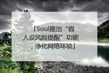 Soul推出“假人设风险提醒”功能，净化网络环境